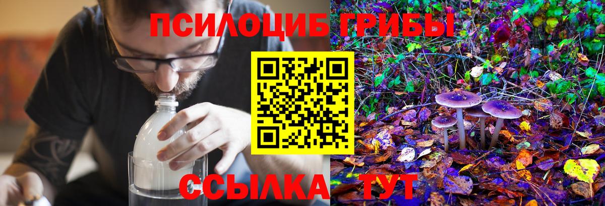 Махачкала  Галлюциногенные грибы Cubensis  Галлюциногенные грибы ЛСД  Вход с VPN 